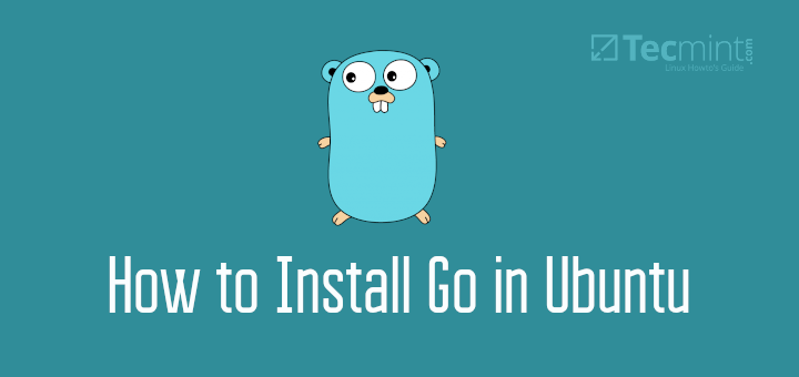 Install Go in Ubuntu