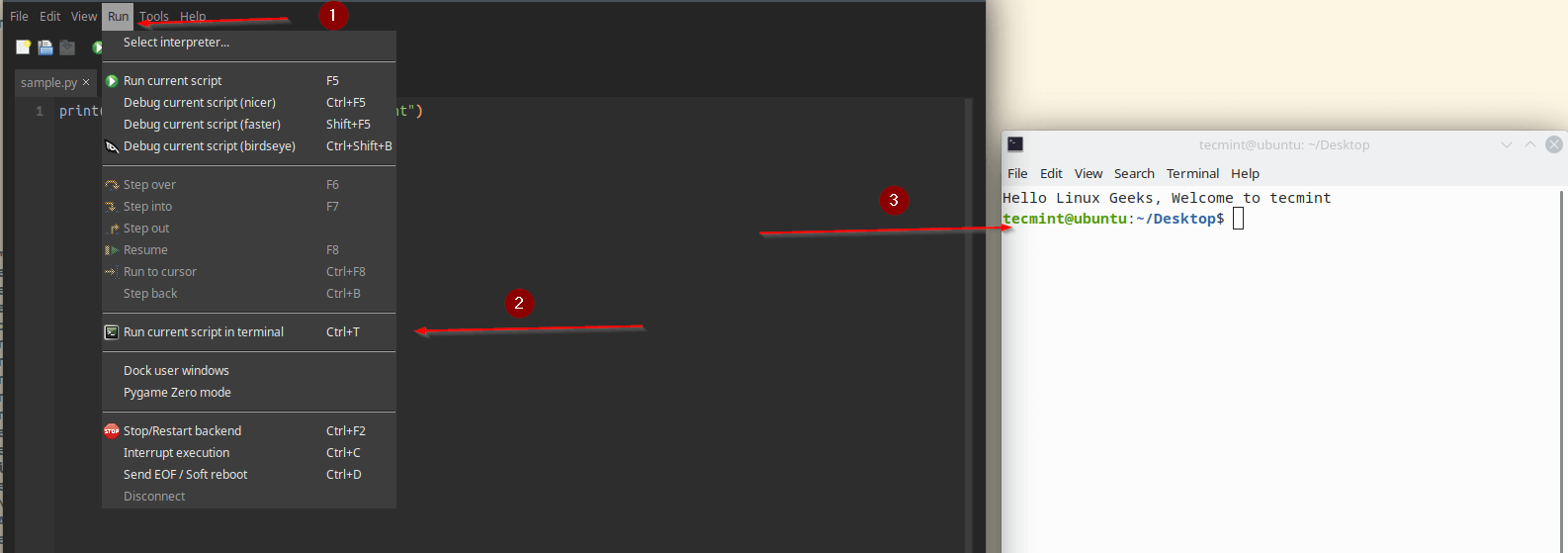 Run Programe in External Terminal