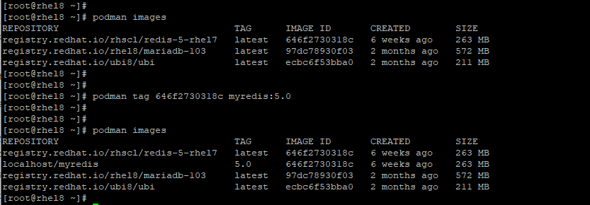 Set Name for Redis Container Image