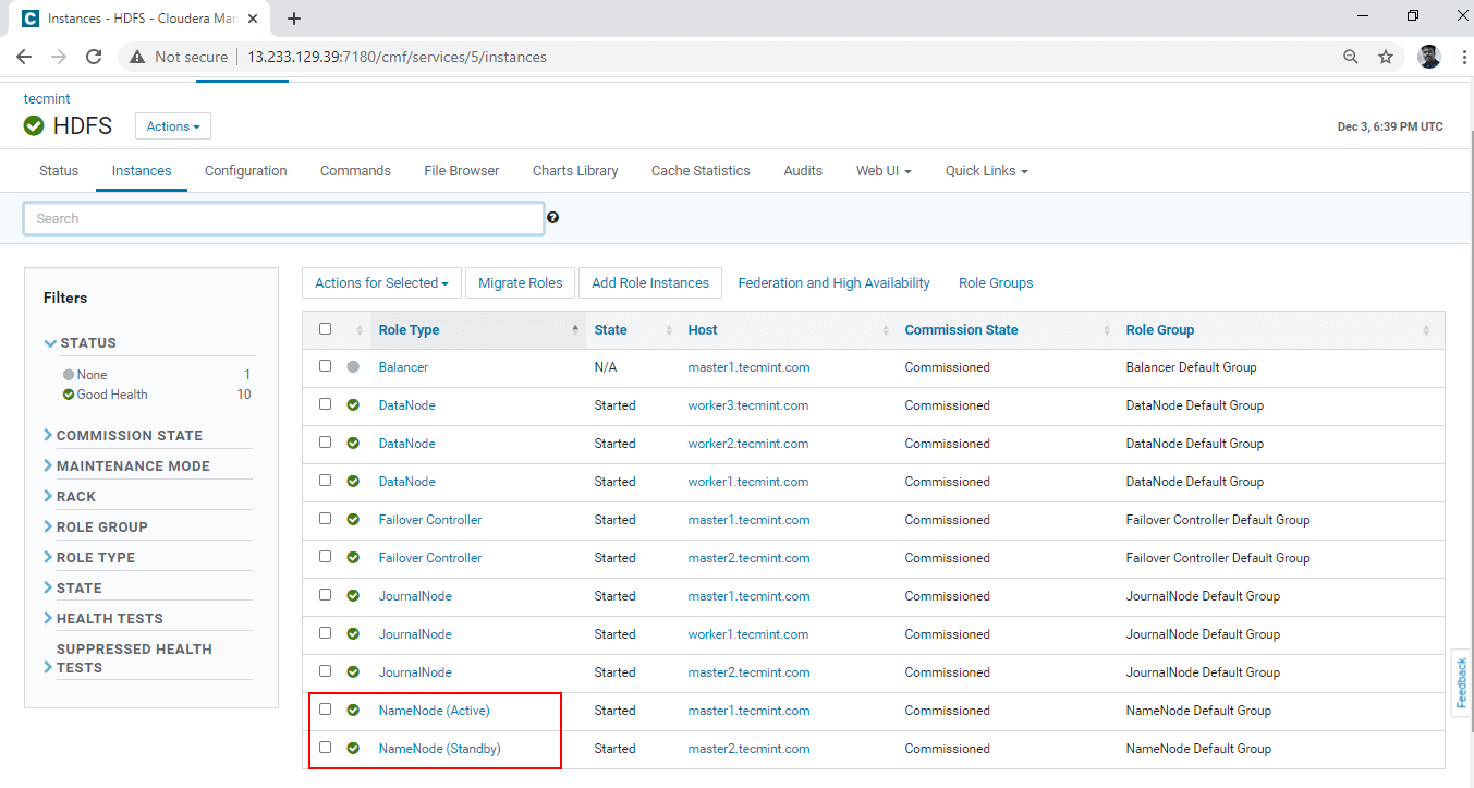 Verify Namenodes