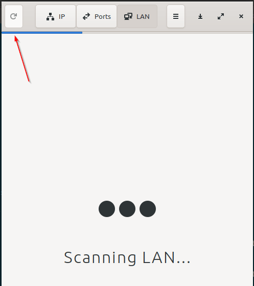 What IP Scanning