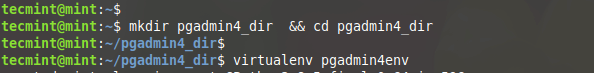 Create Virtual Environment for pgAdmim4