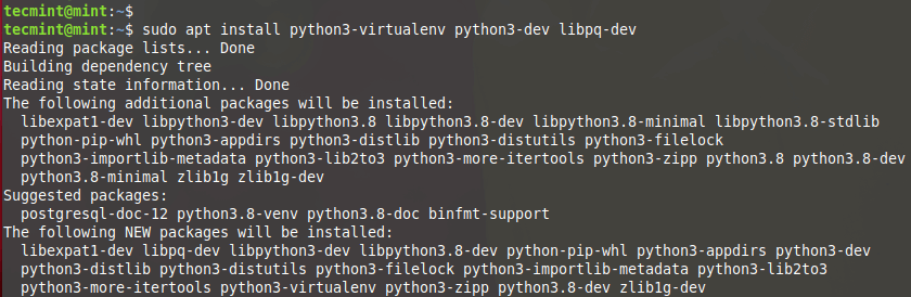 Install Python Virtual Environment