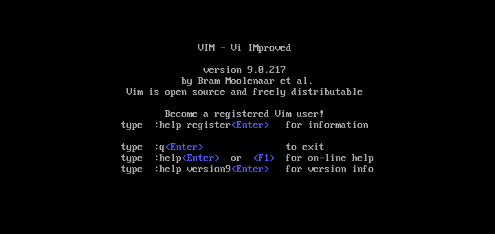 Install Vim in Linux