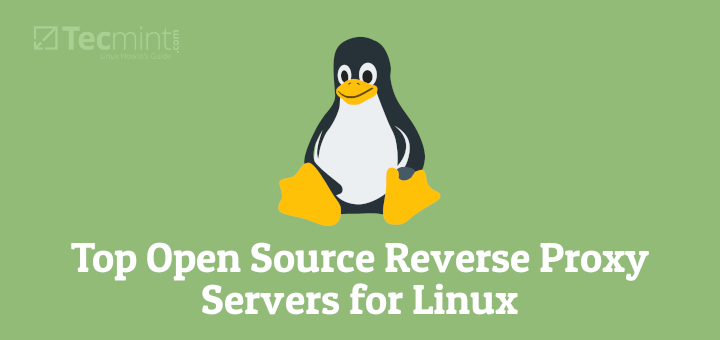 Open Source Reverse Proxy Servers for Linux