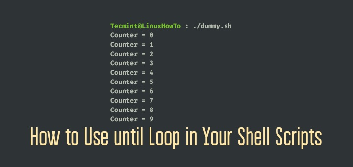 Use until Loop in Your Shell Scripts