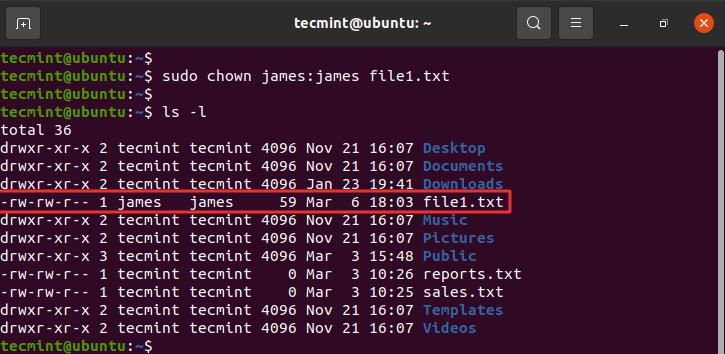 Change File Ownership in Linux