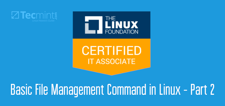 Linux File Management Commands