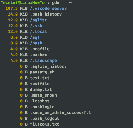 Non Interactive Output