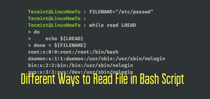 Read File in Linux