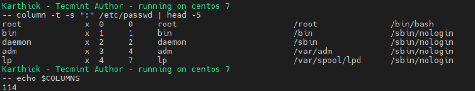 Resize Column Size