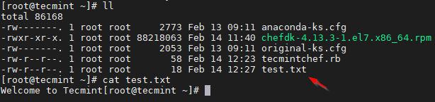 Verify File Creation