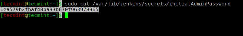 Jenkins password