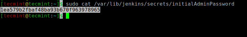 Jenkins Password