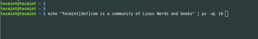 Show Animated Text in Terminal