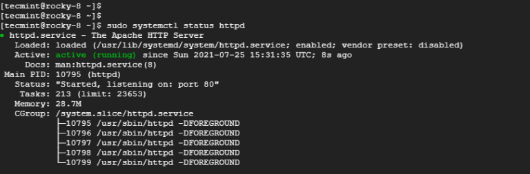 How to Install LAMP Stack on Rocky Linux 8