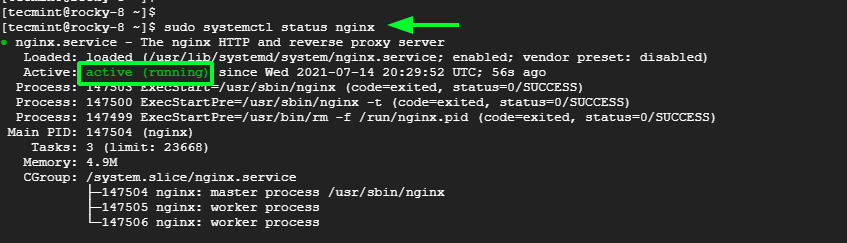 Check Nginx Status