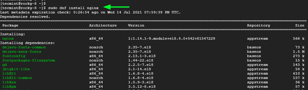 Install Nginx on Rocky Linux