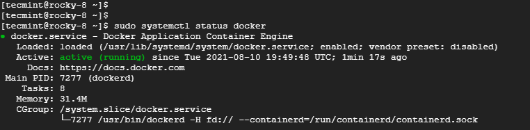 Check Docker Status