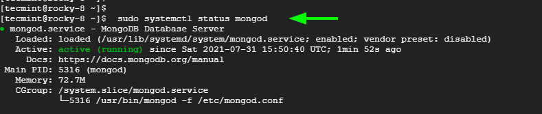 Check MongoDB Status