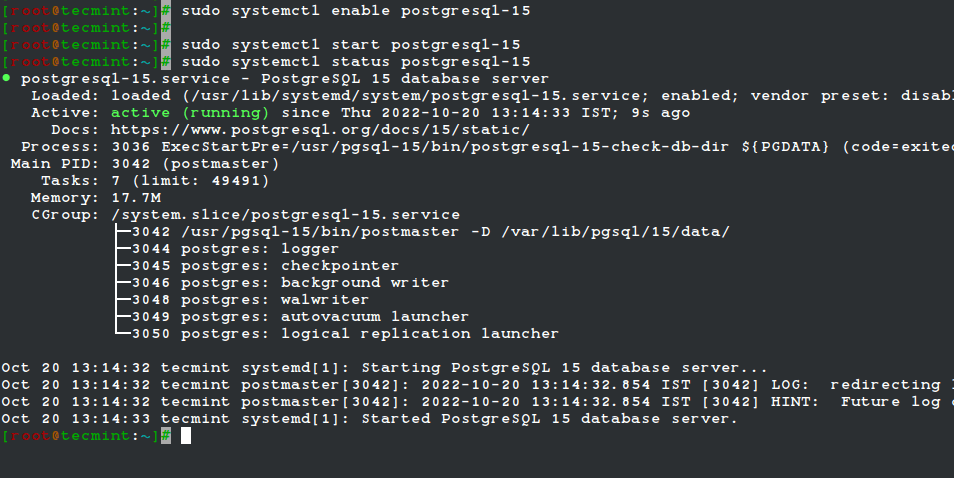 Check PostgreSQL Status