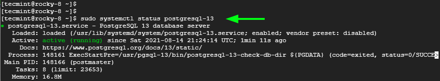 Check PostgreSQL Status