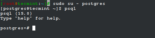 Connect PostgreSQL Database Shell