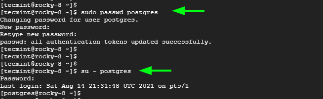 Set Postgres User Password