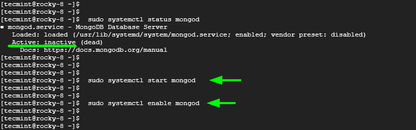 Start MongoDB Service