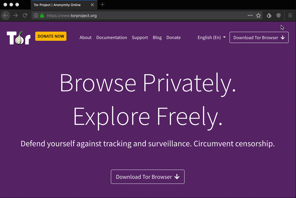 Tor Secure Browser for Linux