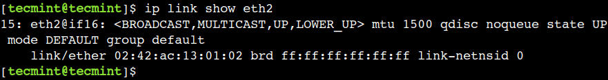 Check IP Address of Network Interface