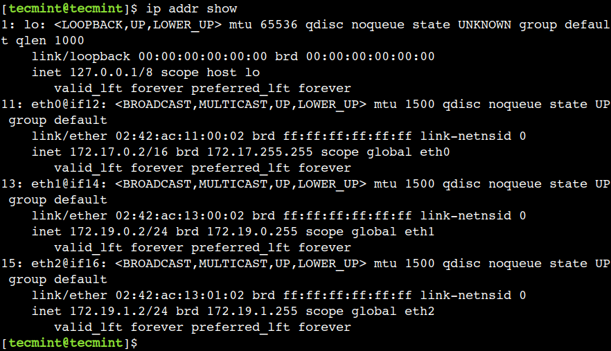 Check IP Addresses in Linux
