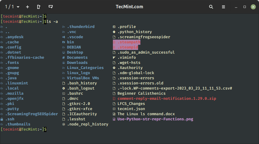 List Hidden Files on Linux
