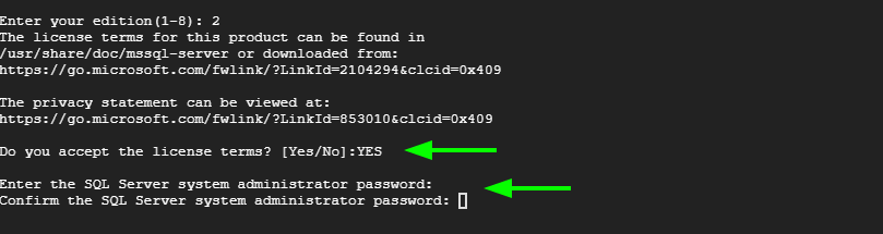 Setup SQL Server Admin Password