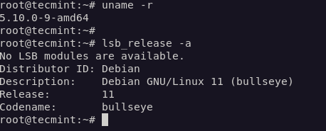 Check Debian 11 Release Version