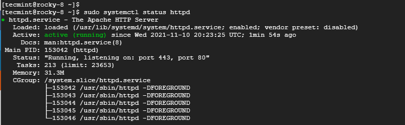 Check Apache Status