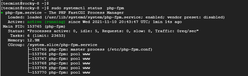 Check PHP-FPM Status