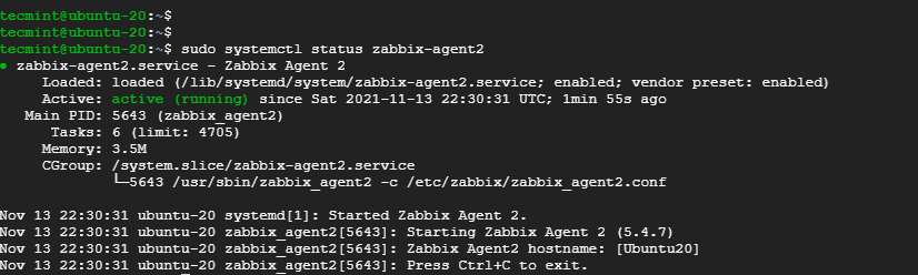 Check Zabbix Agent Status