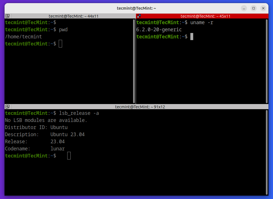 Terminator - Linux Terminal Emulator