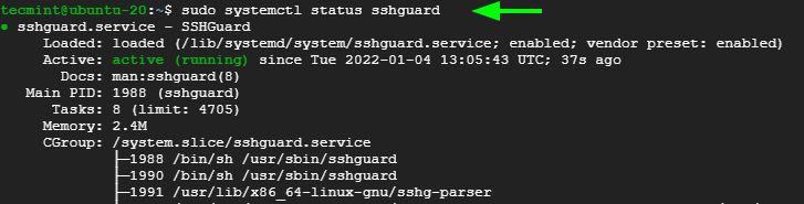 Check SSHGuard in Ubuntu