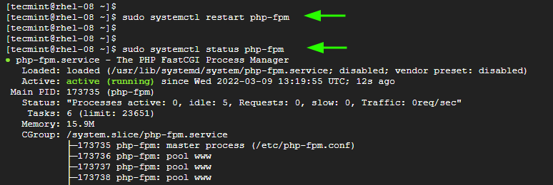 Check PHP-FPM Status