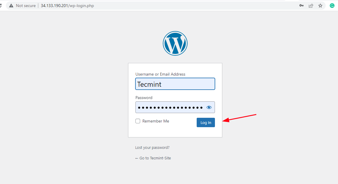 WordPress Admin Login