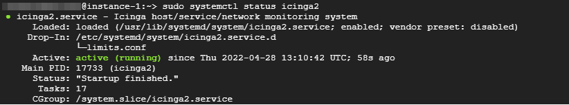 Check Icinga Status