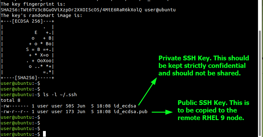 Check SSH Keys