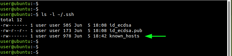 Check known_hosts File