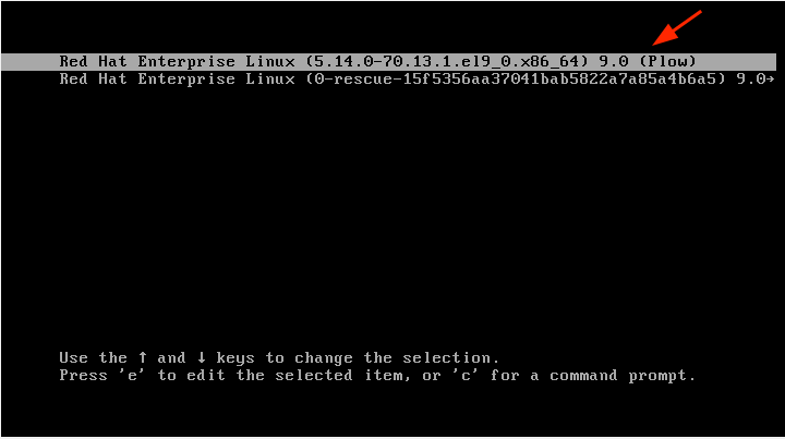 RHEL 9 Boot Menu