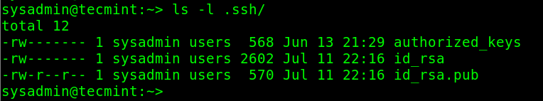Check Files Permissions on SSH Directory