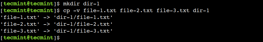 Copy Multiple Files in Linux