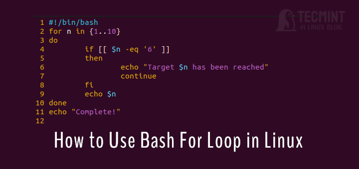 Linux Bash for Loop