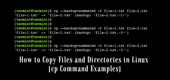 Linux cp Command Examples